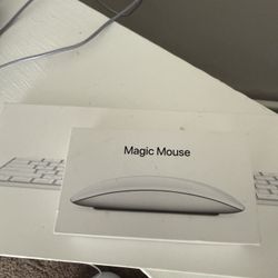 Apple Magic Mouse