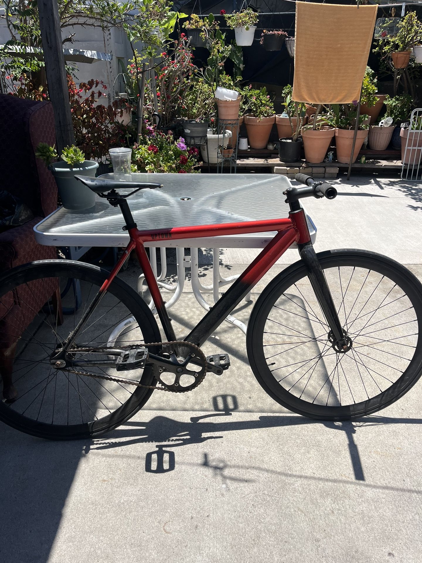 Fixie Uptown