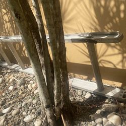 Aluminium Double Slide  Ladder 