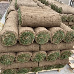 Fresh Sod, Landscaping 