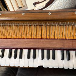 Kirtan Harmonium - Harinam