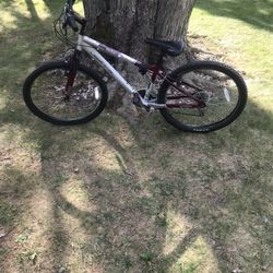 26” Mountain Bike 
