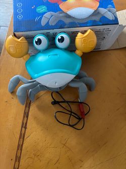 Interactive dog toy