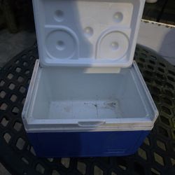 Small Cooler