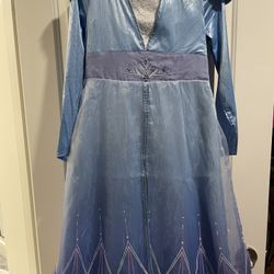 Elsa Costume 