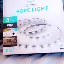 LED Rope Light 