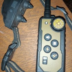 Dog Training Collar