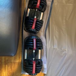 Bowflex Dumbbells Pair