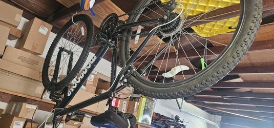 Mongoose Excursion Mountain Bike