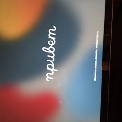iPad Model 1561