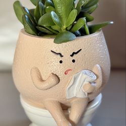 Hilariously Cute Toilet Planter with Jade Plant