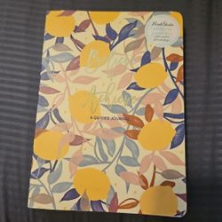 Punch Studio Softcover Guided Journal Retired Lemon Tree Design New