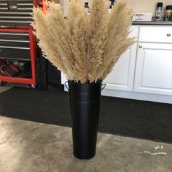 15 Stems- 35” Pampas Grass 