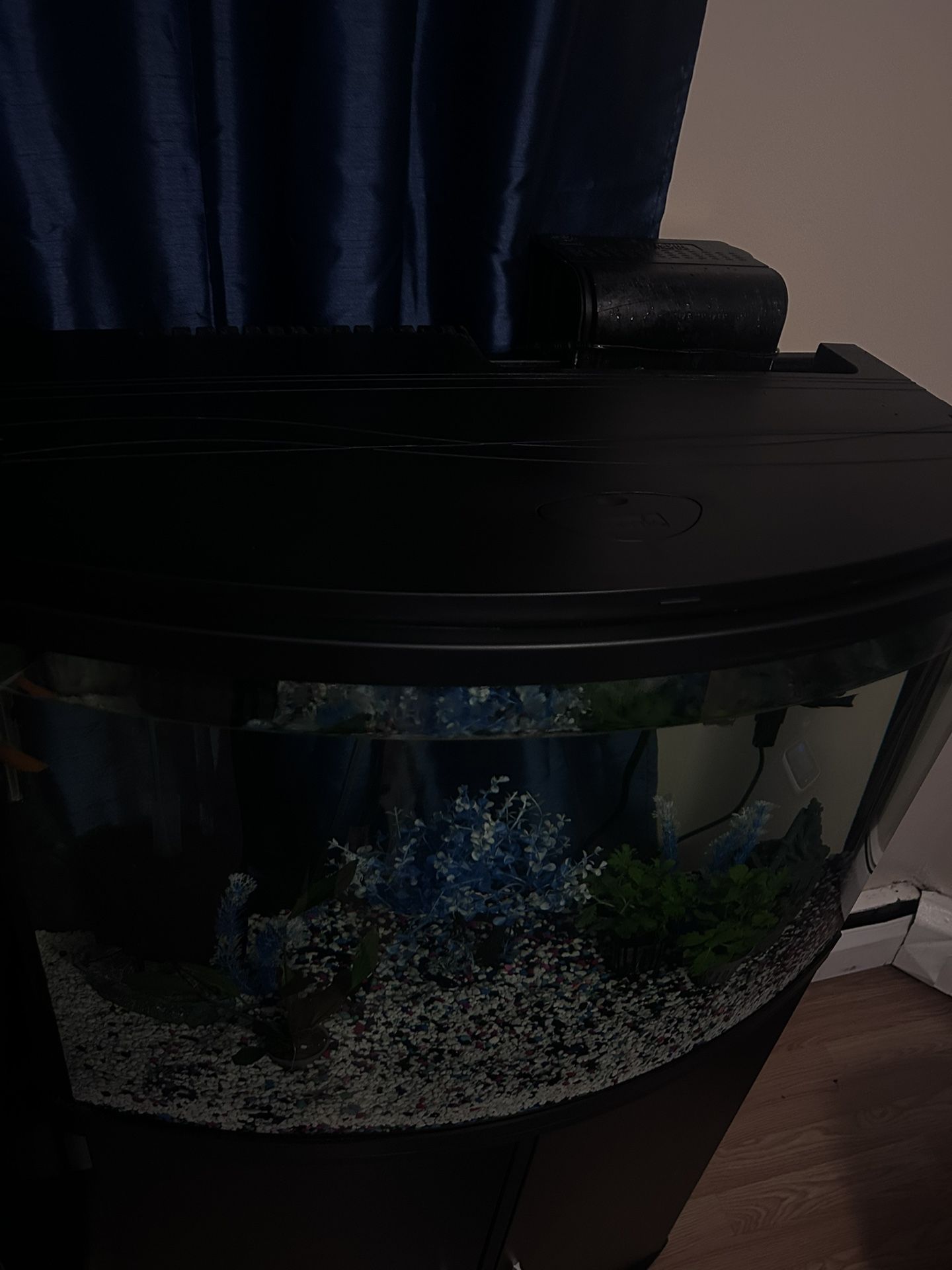 Fish Tank 