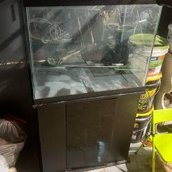 Fish Tank