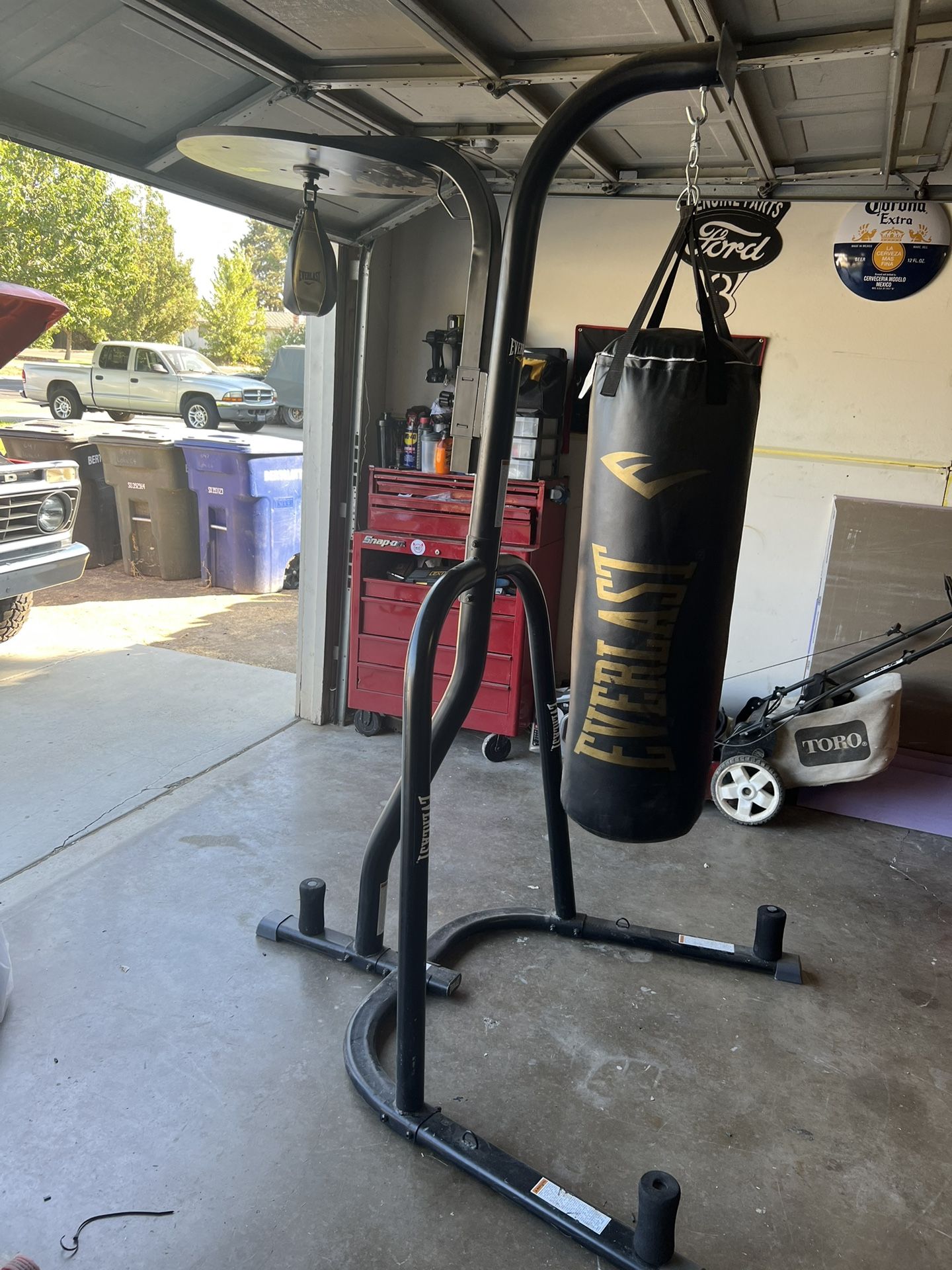 Everlast Punching Bag With Speed Bag