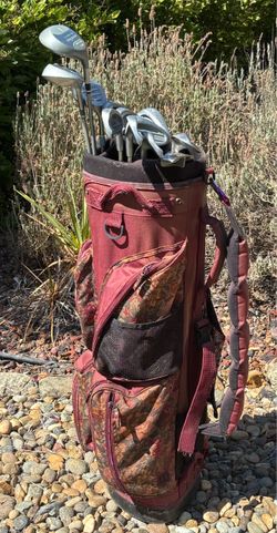 Women’s Lady Classic golf set (Cobra Driver+5w+TaylorMade 9w+4i-pw+sw+putter+bag)