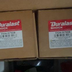 2 Rear Independent Shocks Without Strut