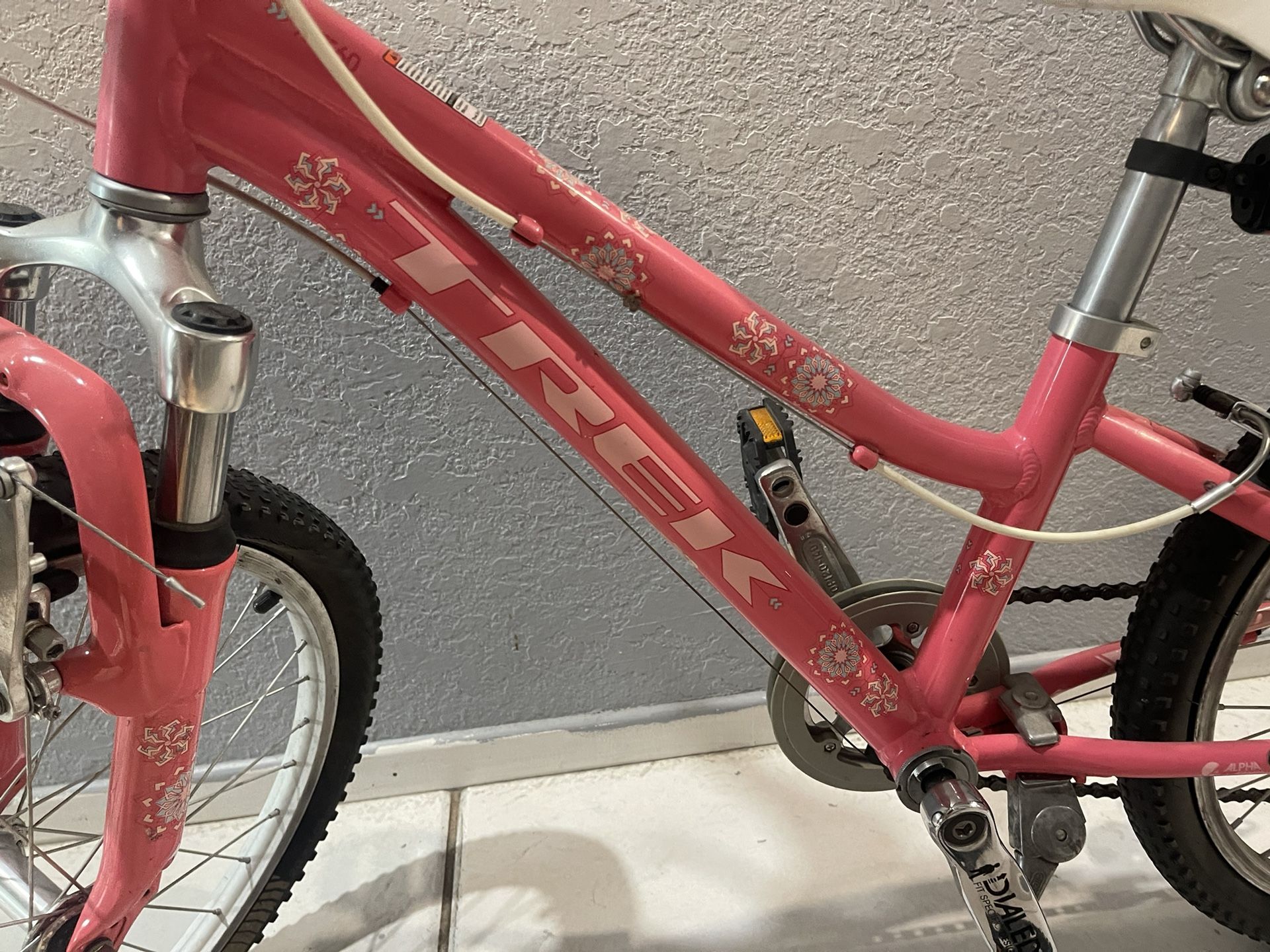 Girls Trek Bike