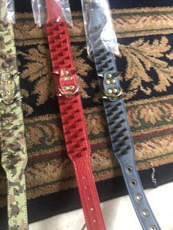 Dog collars brand new
