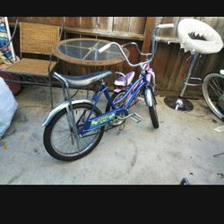 Girls Bicycle Sears Original 