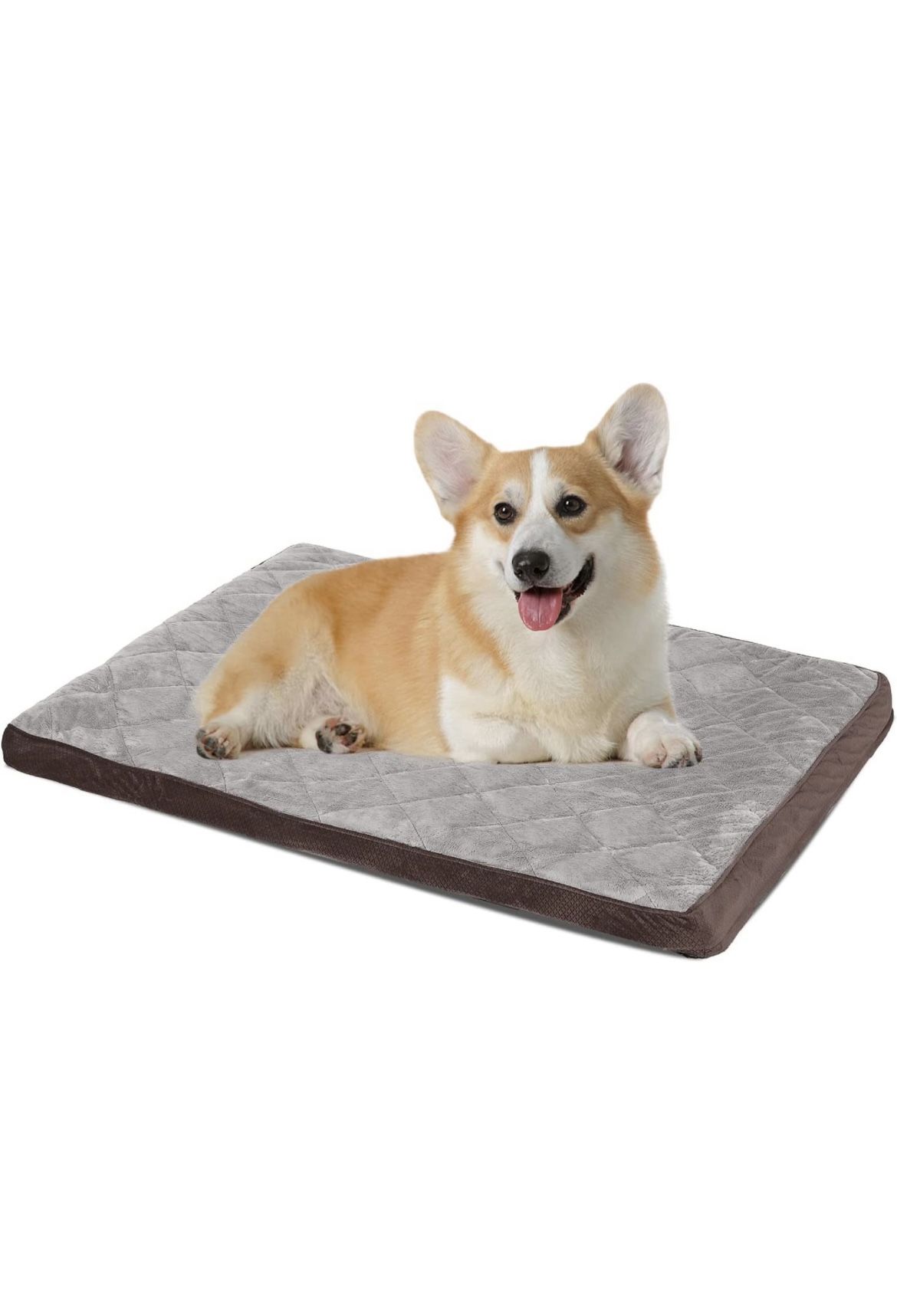 Medium Dog Bed