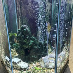 25 Gal. Fish Tank