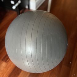 Pregnancy Ball Exercise Ball