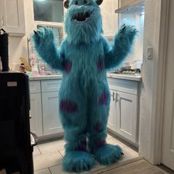 Sulley Monsters Inc 