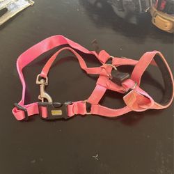 Walk And Train Dog Harness