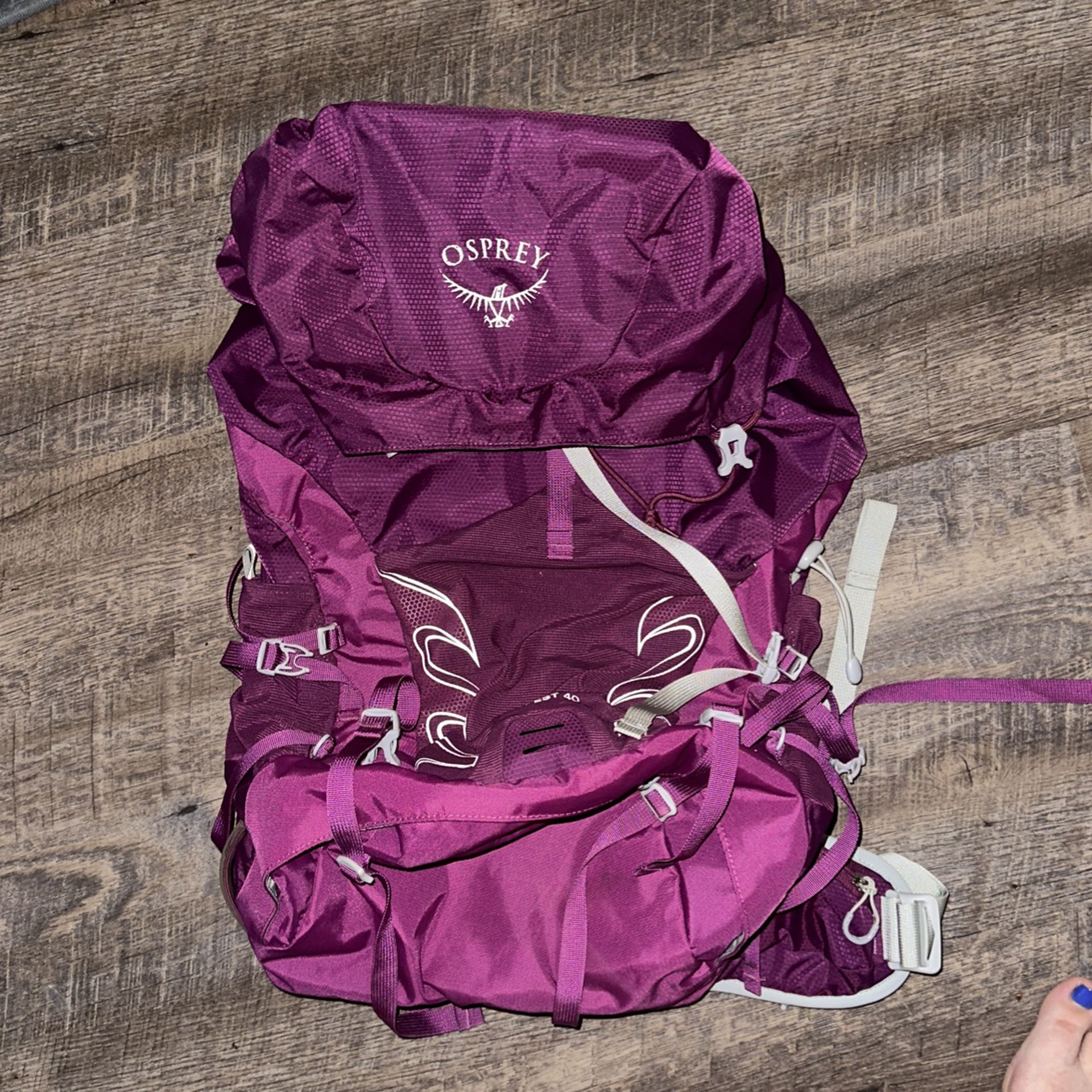Ospray The Tempest Hiking Backpack 