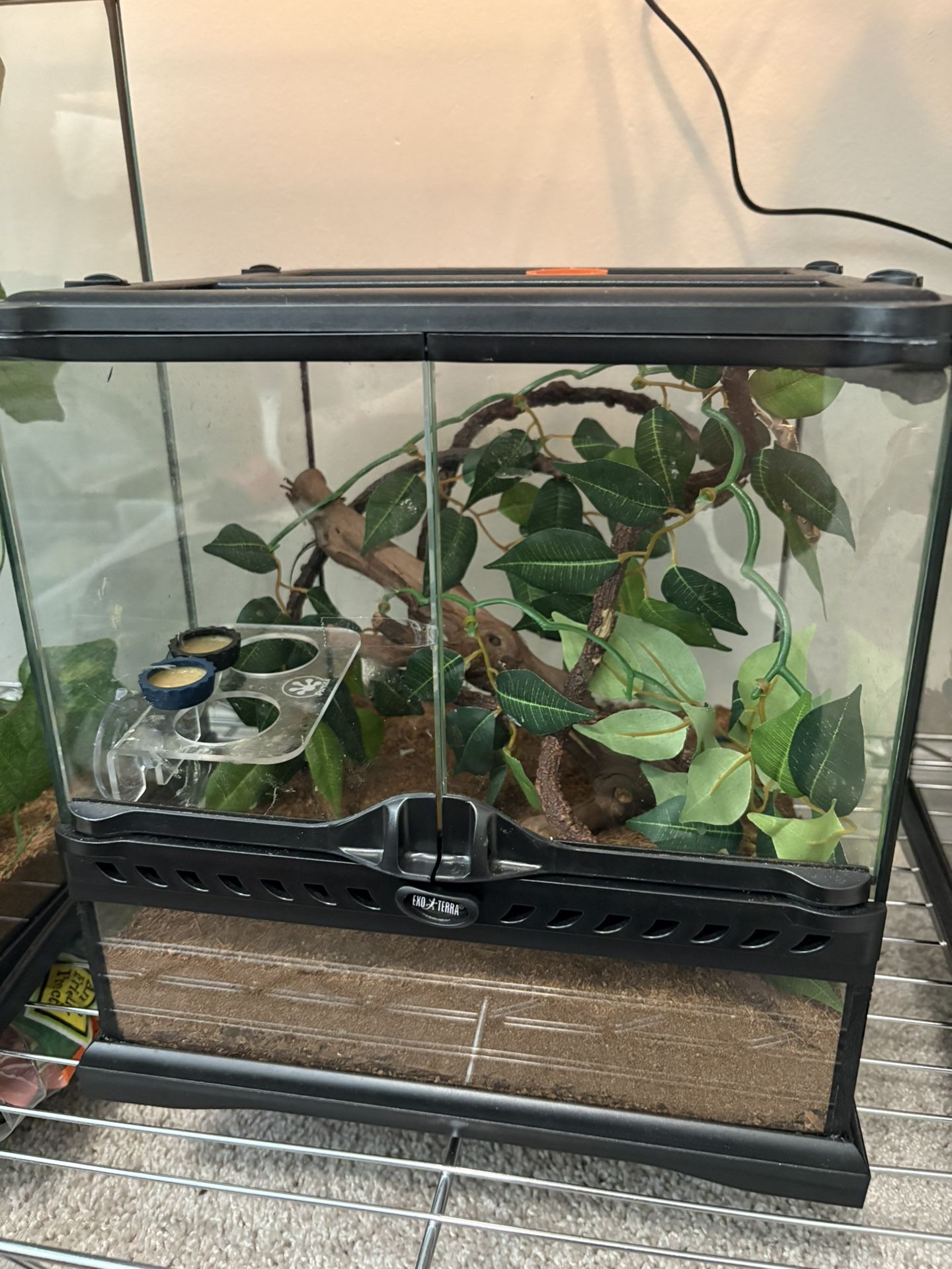 Enclosure