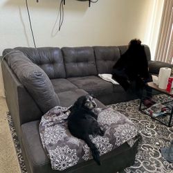 Sectional Couch For Sale