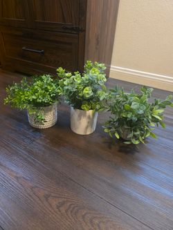 Artificial Plants