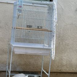 Bird Cage