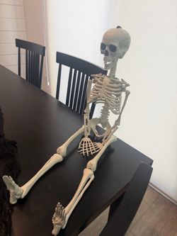 20’ Posable Skeleton