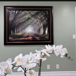 Framed Canvas Wall Art - Evergreen Plantation" artwork by Mike Jones