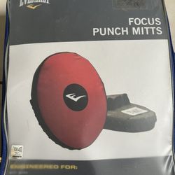 Punch Mitts
