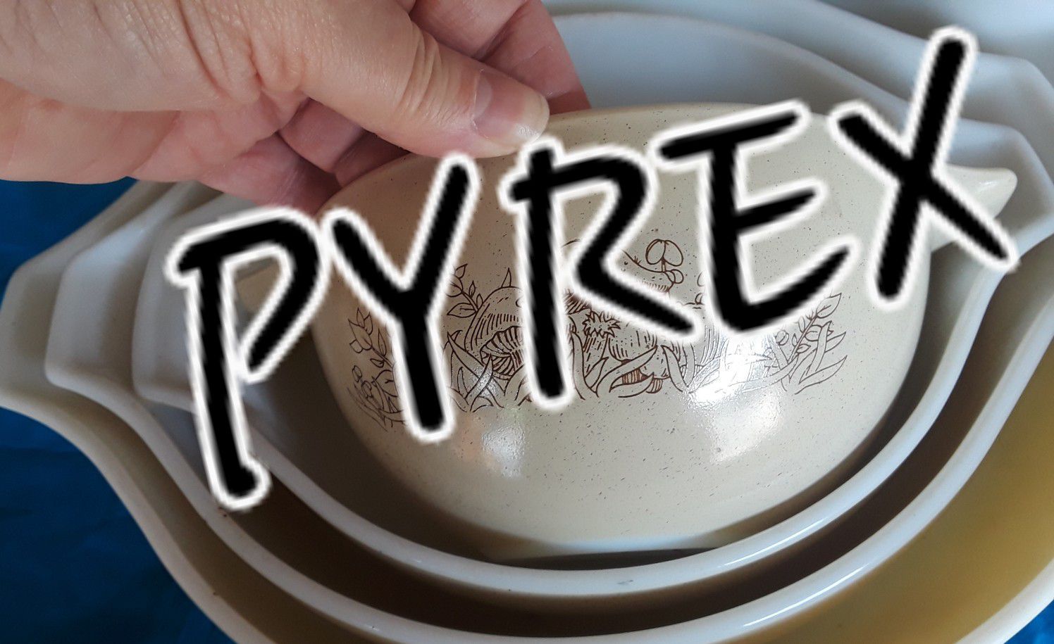 Pyrex Forest Fancies/Mushrooms Mixing Bowls