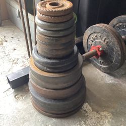 100 Lbs Of Standard Weights 
