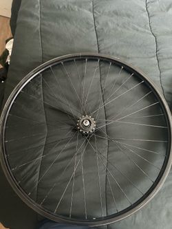 29” disk brake rims