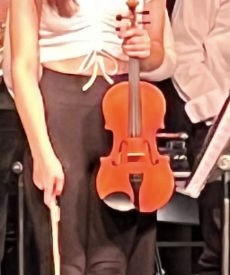 Full Size Violin