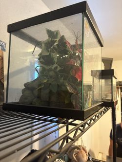Enclosure
