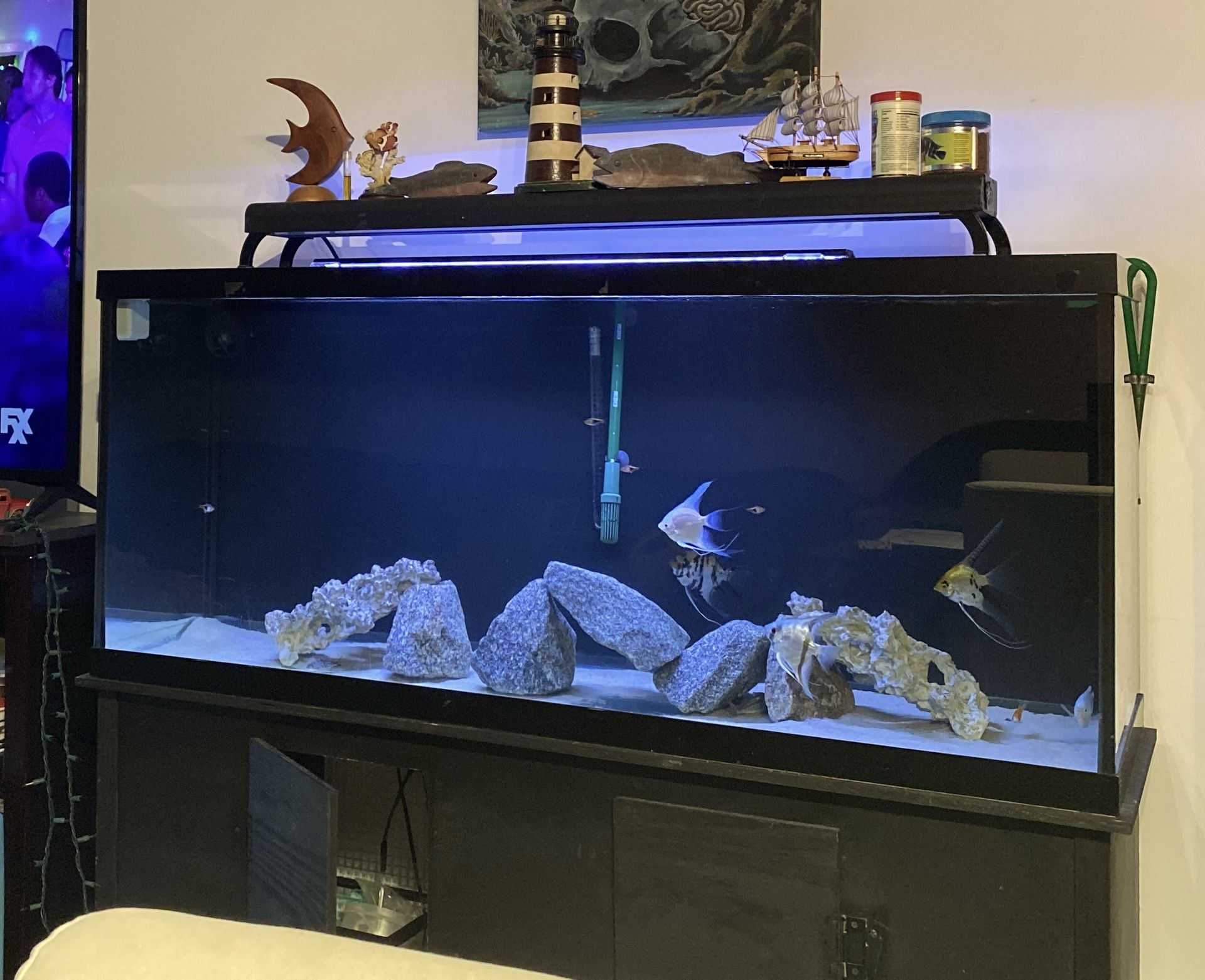 120 Gallon Tank With Glass Canopy And Lights 