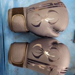 Sting Boxing Gloves 