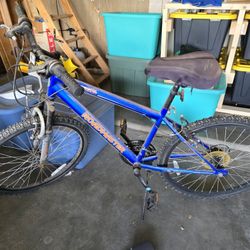Roadmater Bike Blue