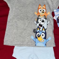 Bluey Short Set 