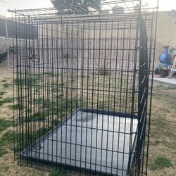 Largest dog cheap cage