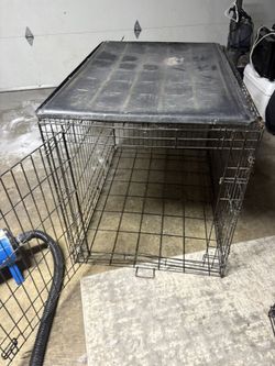 Giant Dog Kennel