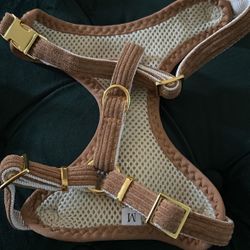 Medium dog collar